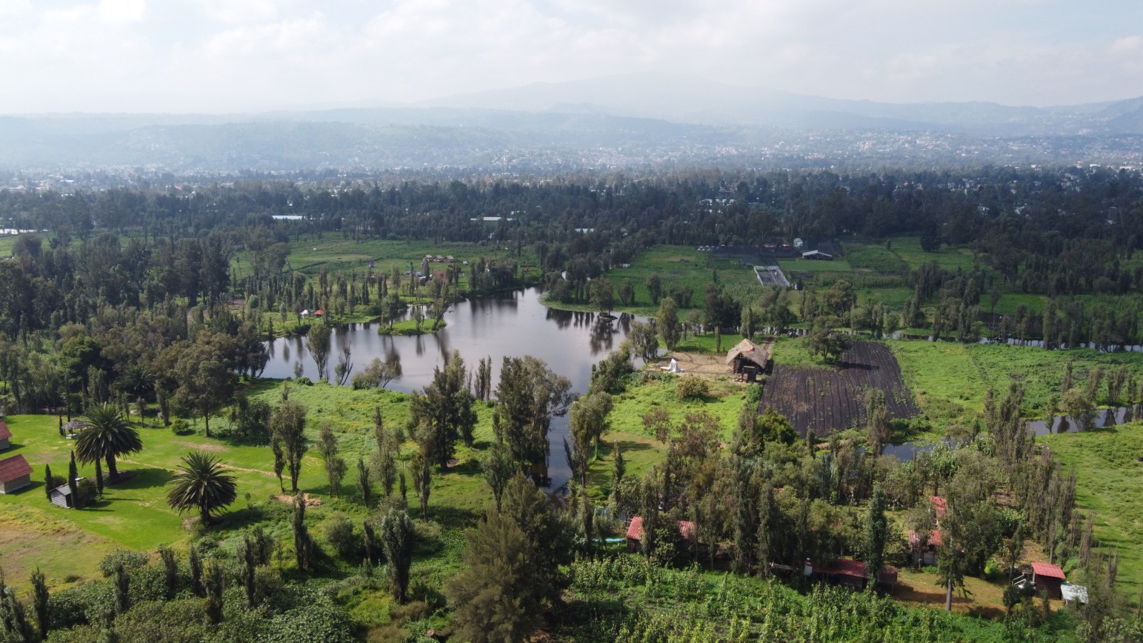 CDMX gana Premio Internacional Ciudad Verde 2026 por programa Altépetl Bienestar