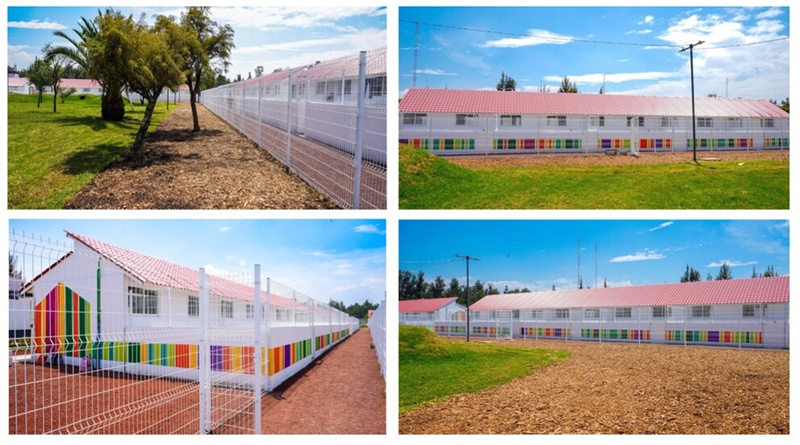 Xólotl, el nuevo refugio para 600 animales en CDMX