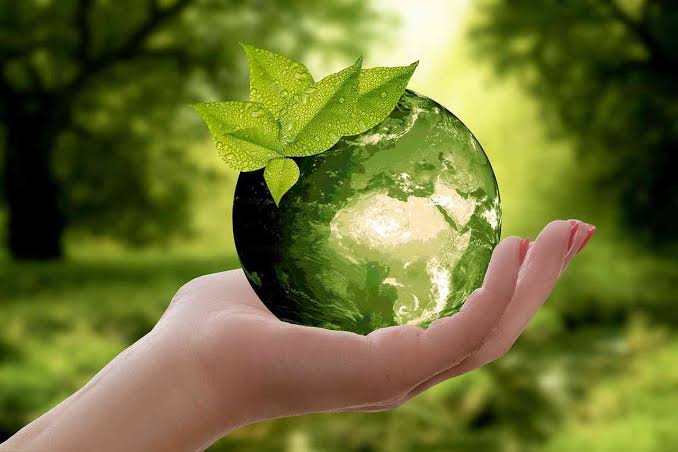 Semana de Acción Climática llegará a cinco puntos de CDMX con actividades gratuitas