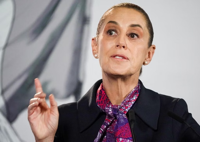 Sheinbaum pide esperar ante posible detención de Guadalupe Taddei