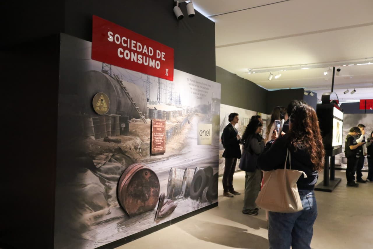 ¿El huevo eleva el colesterol? PILARES aborda los principales mitos sobre este alimento
